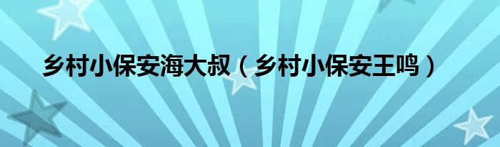 乡村小保安海大叔（乡村小保安王鸣）