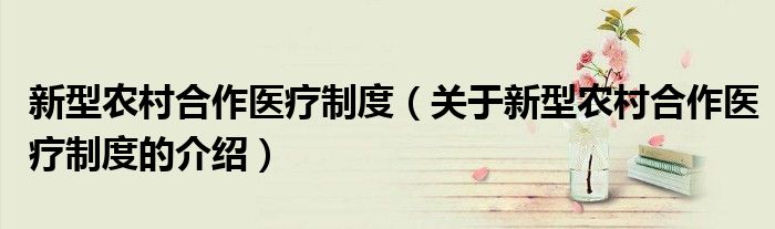 新型农村合作医疗制度（关于新型农村合作医疗制度的介绍）