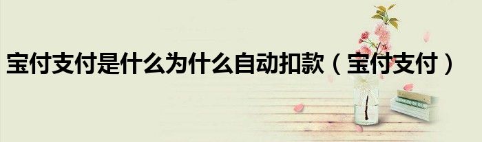 宝付支付是什么为什么自动扣款（宝付支付）