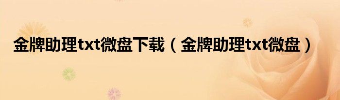 金牌助理txt微盘下载（金牌助理txt微盘）