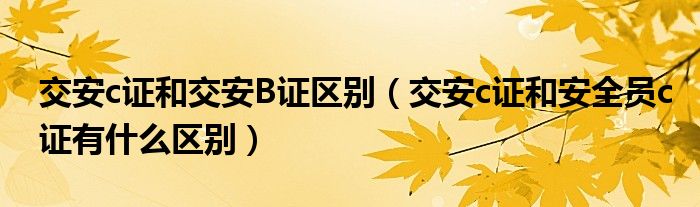 交安c证和交安B证区别（交安c证和安全员c证有什么区别）