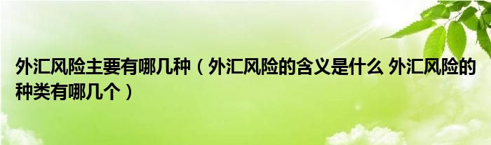外汇风险主要有哪几种（外汇风险的含义是什么 外汇风险的种类有哪几个）