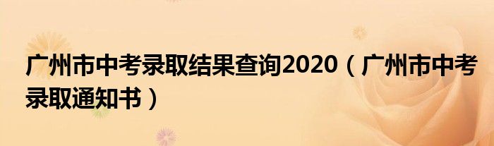 广州市中考录取结果查询2020（广州市中考录取通知书）