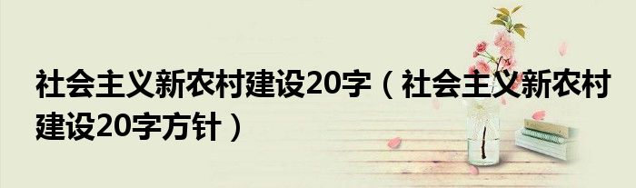社会主义新农村建设20字（社会主义新农村建设20字方针）