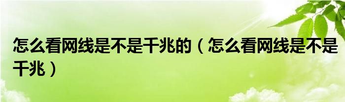 怎么看网线是不是千兆的（怎么看网线是不是千兆）