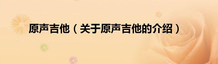 原声吉他（关于原声吉他的介绍）