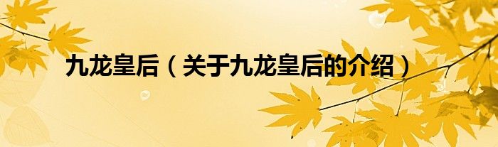 九龙皇后（关于九龙皇后的介绍）
