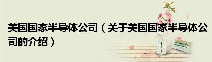 美国国家半导体公司（关于美国国家半导体公司的介绍）