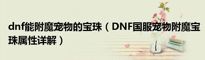 dnf能附魔宠物的宝珠（DNF国服宠物附魔宝珠属性详解）