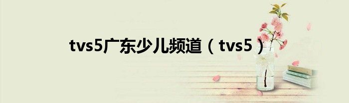 tvs5广东少儿频道（tvs5）