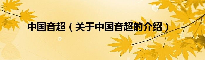 中国音超（关于中国音超的介绍）