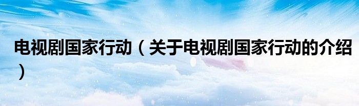 电视剧国家行动（关于电视剧国家行动的介绍）