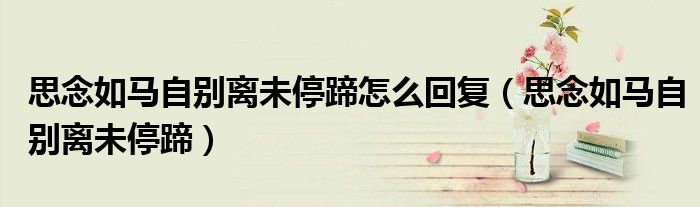 思念如马自别离未停蹄怎么回复（思念如马自别离未停蹄）
