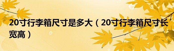 20寸行李箱尺寸是多大（20寸行李箱尺寸长宽高）