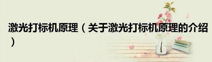 激光打标机原理（关于激光打标机原理的介绍）