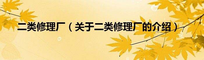 二类修理厂（关于二类修理厂的介绍）