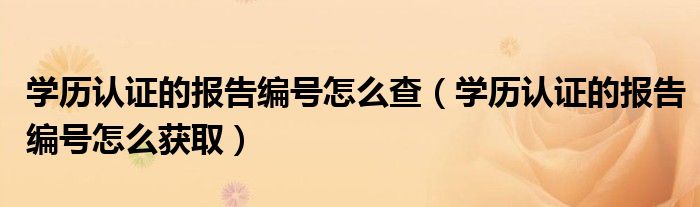 学历认证的报告编号怎么查（学历认证的报告编号怎么获取）