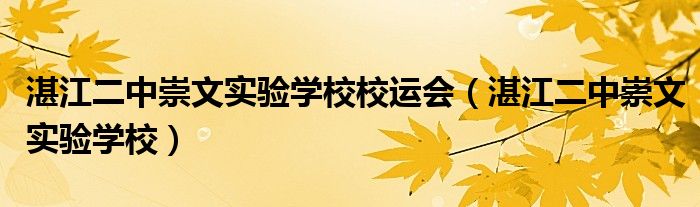 湛江二中崇文实验学校校运会（湛江二中崇文实验学校）