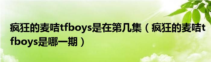 疯狂的麦咭tfboys是在第几集（疯狂的麦咭tfboys是哪一期）