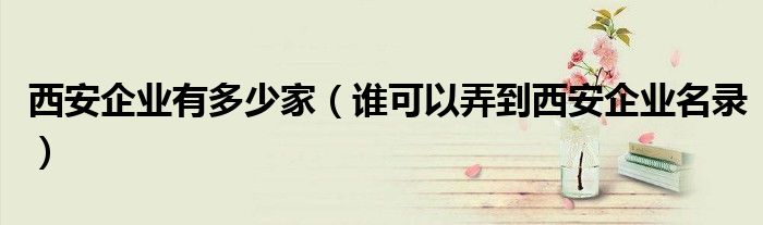 西安企业有多少家（谁可以弄到西安企业名录）