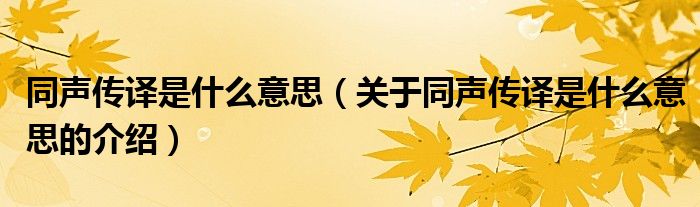 同声传译是什么意思（关于同声传译是什么意思的介绍）