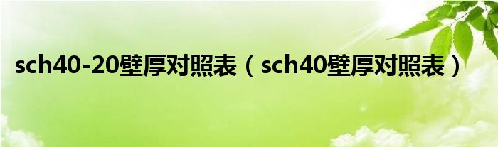 sch40-20壁厚对照表（sch40壁厚对照表）