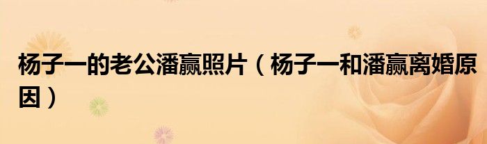 杨子一的老公潘赢照片（杨子一和潘赢离婚原因）