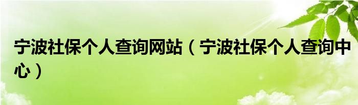 宁波社保个人查询网站（宁波社保个人查询中心）
