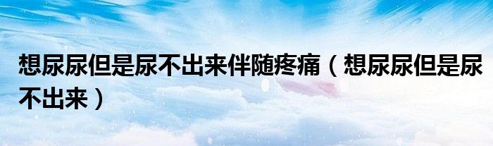 想尿尿但是尿不出来伴随疼痛（想尿尿但是尿不出来）
