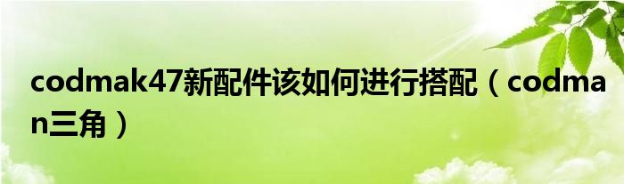 codmak47新配件该如何进行搭配（codman三角）