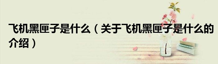 飞机黑匣子是什么（关于飞机黑匣子是什么的介绍）