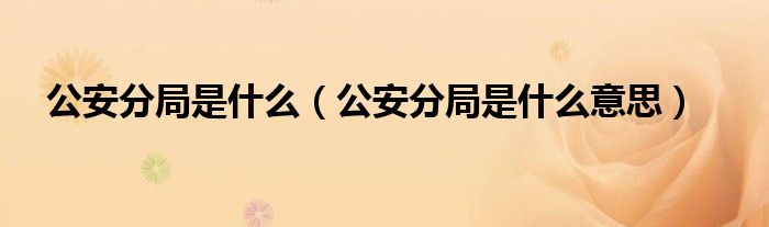 公安分局是什么（公安分局是什么意思）