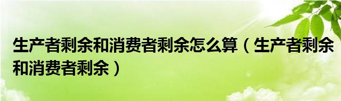 生产者剩余和消费者剩余怎么算（生产者剩余和消费者剩余）