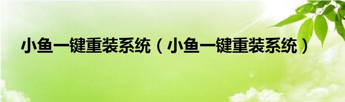 小鱼一键重装系统（小鱼一键重装系统）