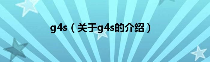 g4s（关于g4s的介绍）