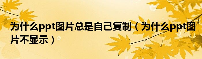 为什么ppt图片总是自己复制（为什么ppt图片不显示）