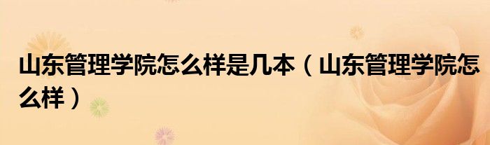 山东管理学院怎么样是几本（山东管理学院怎么样）