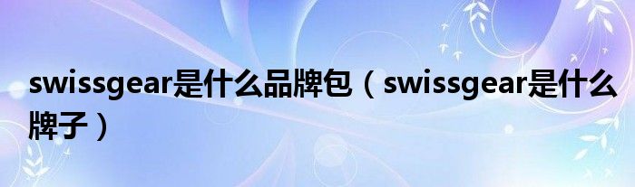swissgear是什么品牌包（swissgear是什么牌子）