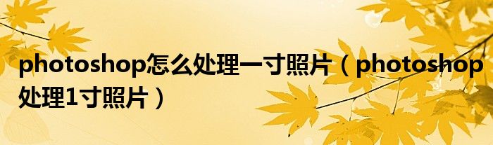 photoshop怎么处理一寸照片（photoshop处理1寸照片）