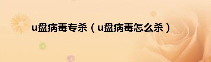 u盘病毒专杀（u盘病毒怎么杀）