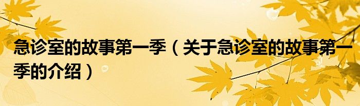 急诊室的故事第一季（关于急诊室的故事第一季的介绍）