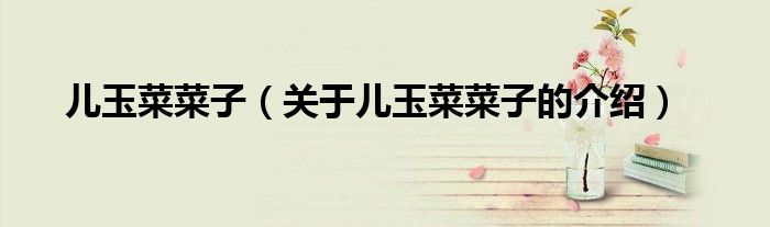 儿玉菜菜子（关于儿玉菜菜子的介绍）