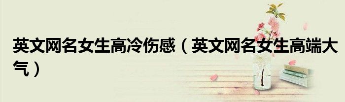 英文网名女生高冷伤感（英文网名女生高端大气）