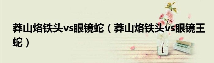 莽山烙铁头vs眼镜蛇（莽山烙铁头vs眼镜王蛇）