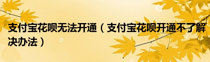 支付宝花呗无法开通（支付宝花呗开通不了解决办法）