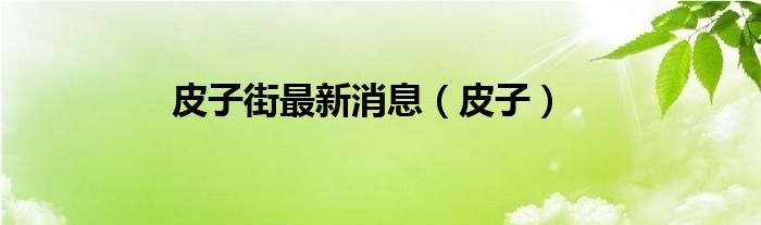 皮子街最新消息（皮子）