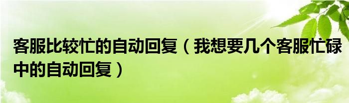 客服比较忙的自动回复（我想要几个客服忙碌中的自动回复）