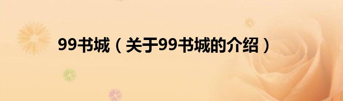 99书城（关于99书城的介绍）