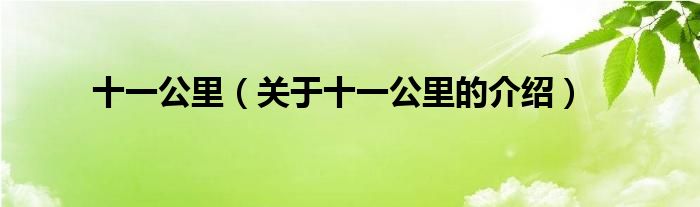 十一公里（关于十一公里的介绍）