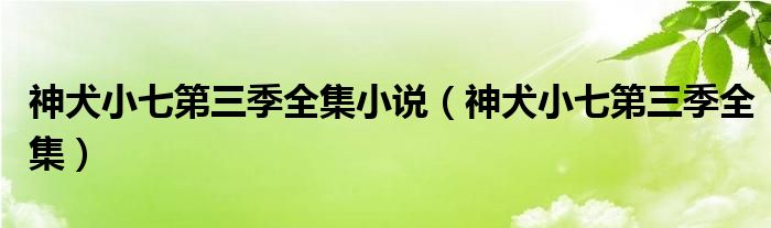 神犬小七第三季全集小说（神犬小七第三季全集）